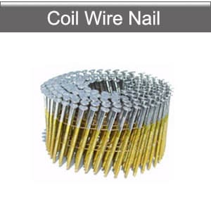 Coil nails